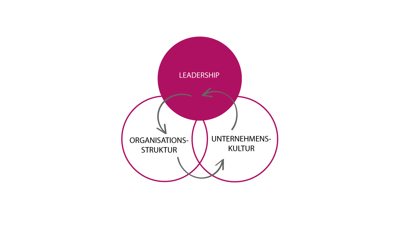 Leadership-Struktur-Kultur