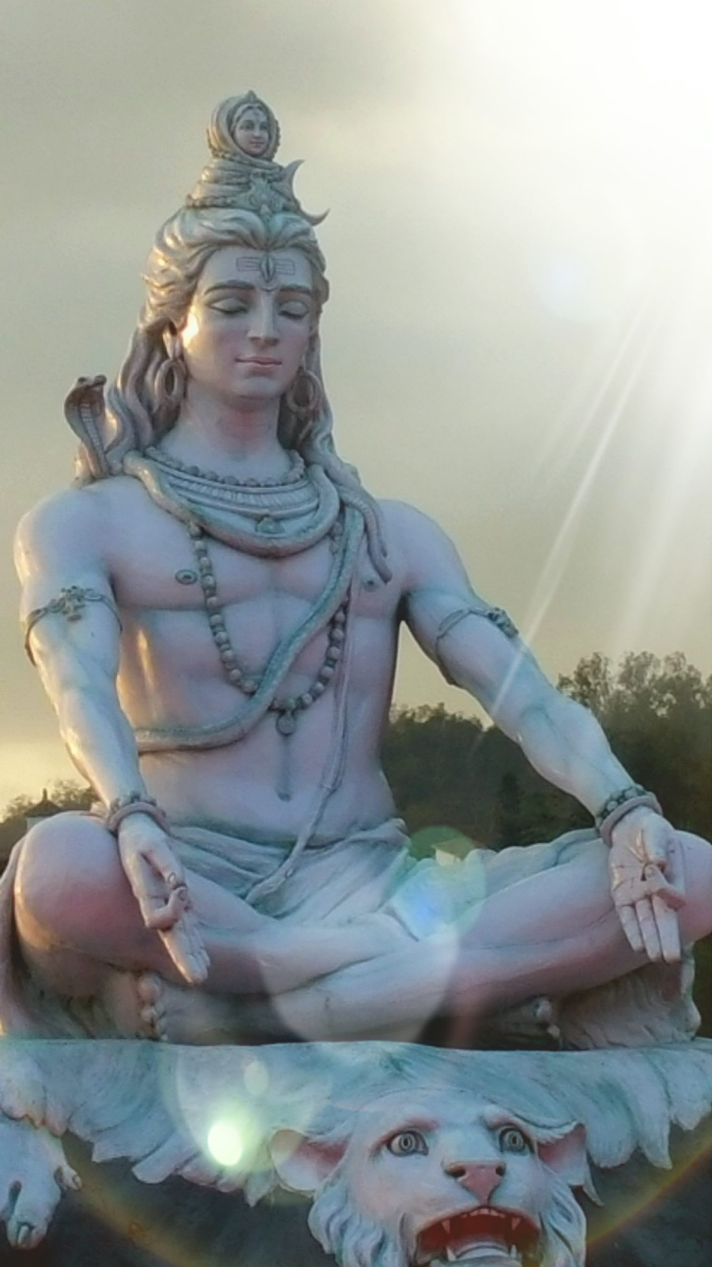 Shiva Licht